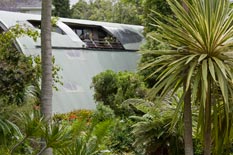 Kerikeri studio